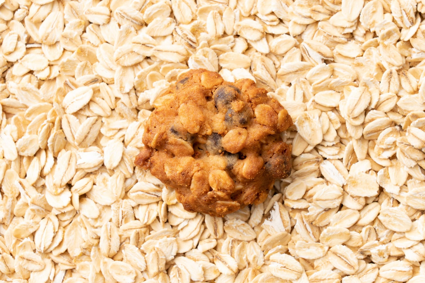 米粉のオートミールクッキー　チョコチップ入り　100gX1袋